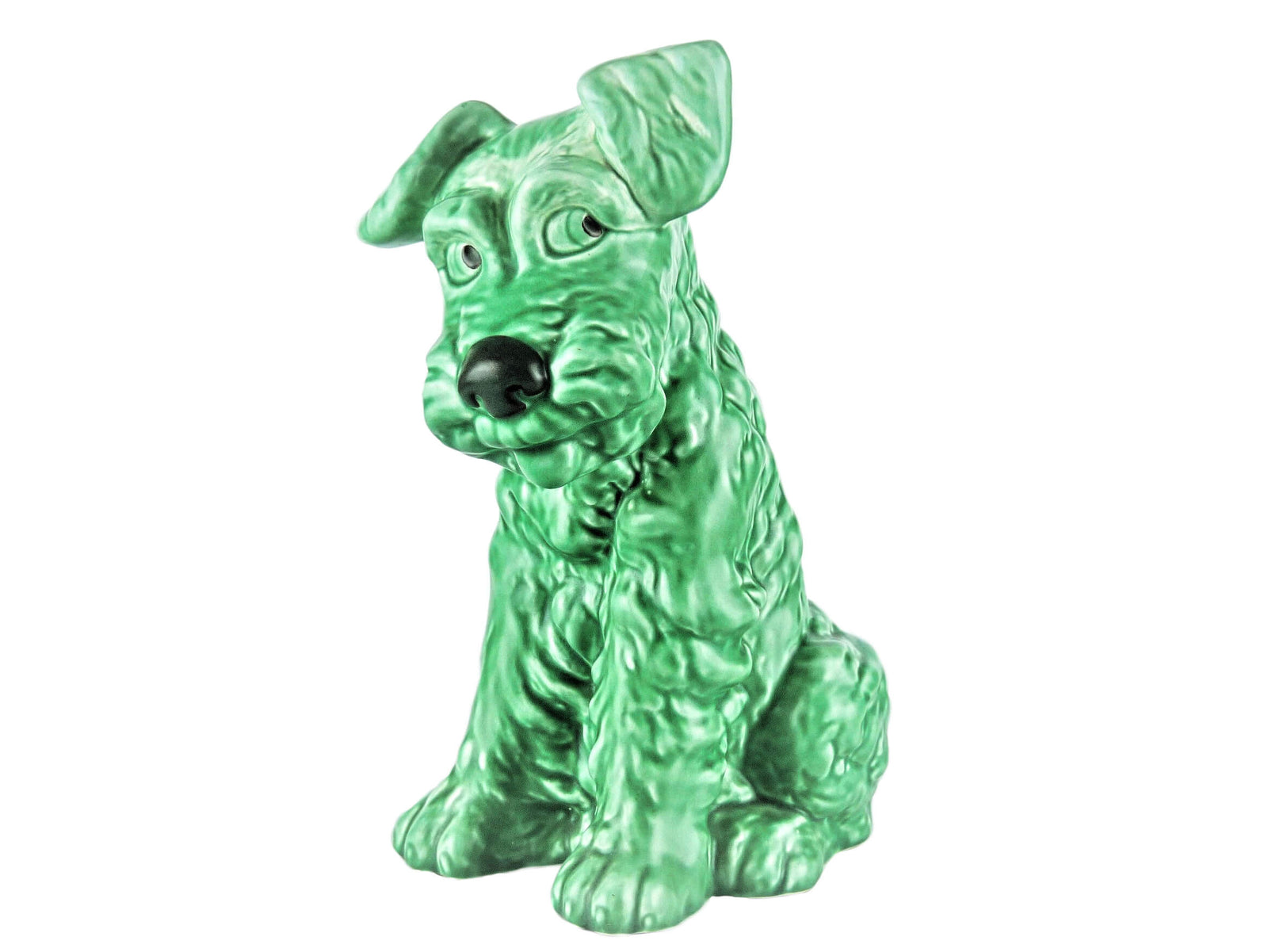 Impressive SylvaC Terrier Dog, Largest Size, Cheeky Expressive Face