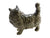 Beswick Persian Cat, Standing Cat, No 1898, Attractive Colour