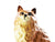 Beswick Persian Ginger Cat, No 1867, Large Cat, Beautiful Gloss Body
