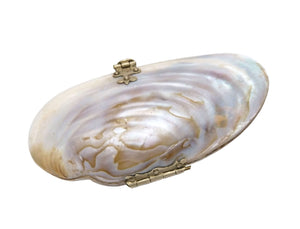 Victorian Ladies Shell Purse, Beautiful Small Coin Purse