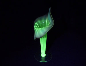 Elegant Jack-In-The-Pulpit Uranium Glass Vase, Glows Brightly