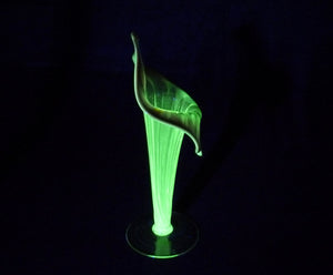 Elegant Jack-In-The-Pulpit Uranium Glass Vase, Glows Brightly