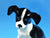 Sylvac Black and White Spaniel Puppy, No 2974, Very Cute