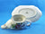 Spode "Marlborough Sprays" Gravy Boat and Saucer, Elegant Style