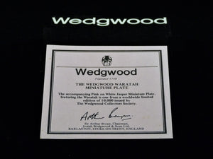 Wedgwood Waratah Miniature Plate, Ltd Ed 10,000, Collectors Society